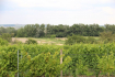 Rakvice (Břeclav) - Svatba na Jižní Moravě ve vinařství s tradičním čepením, spoustou dobrého vína,  - 4